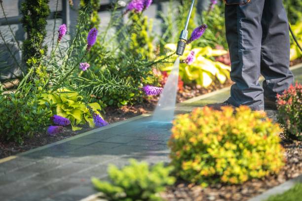 Best Parking Lot and Garage Cleaning  in Watkinsville, GA