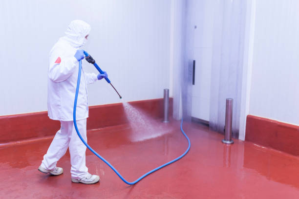 Trusted Watkinsville, GA Pressure Washing Services Experts